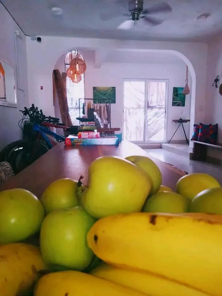 Casa Bizu Bed & Breakfast Bacalar 0*,